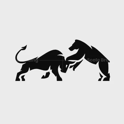 Bulls vs Bears profile