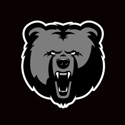 Bears In The Kitchen profile