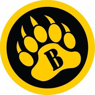 Beartac.com.br profile