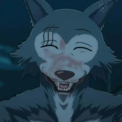 BEASTARS ๐ ๋น์คํ์ฆ๐๐ฐ๐ท profile
