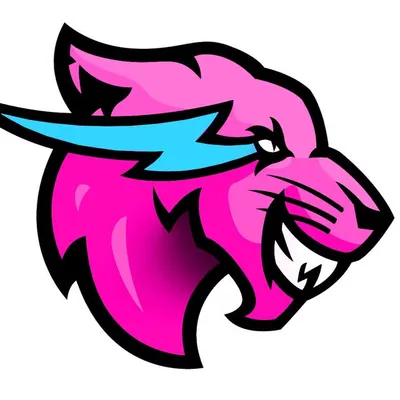 BeastReacts profile