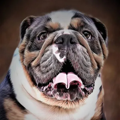 Bullyinstagram profile
