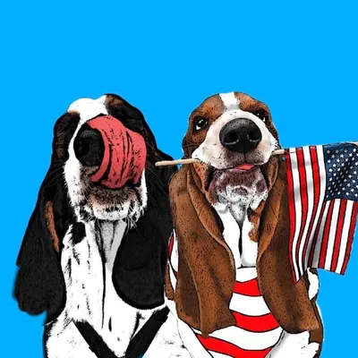Beauregard & Gustav profile