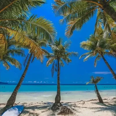 🌊Sea ✈️ПУТЕШЕСТВИЯ🧳Paradise🏖️ profile