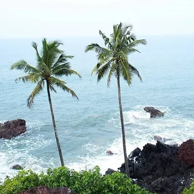 Beautiful KoKan🌴🌅🏝️ profile