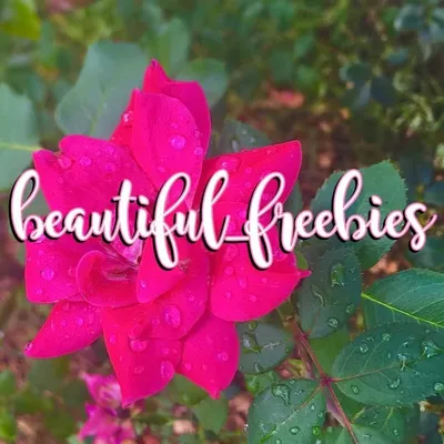 I post freebies and deals! ๐ profile