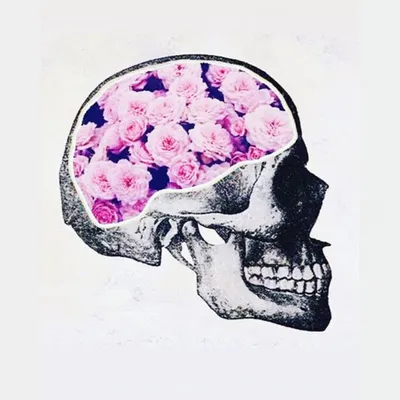Beautiful Minds profile