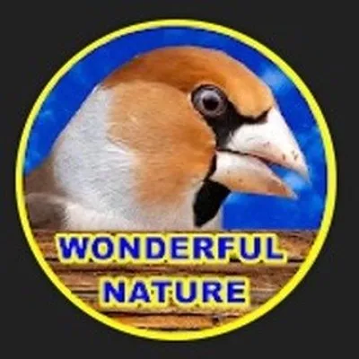 Wonderful Nature profile
