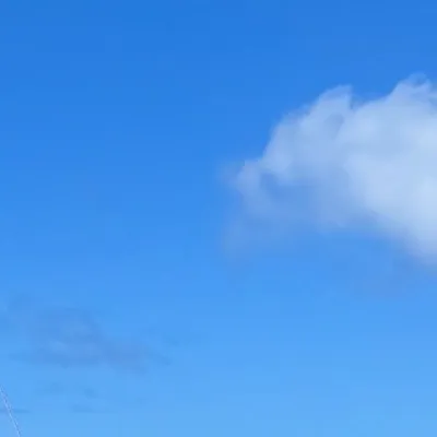 ๐๐๐ฒ๐ฎ๐๐๐๐ profile