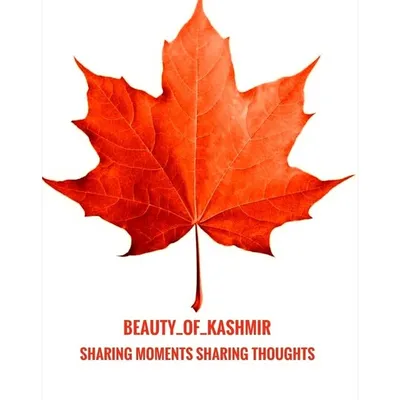 beauty_of_kashmir (official)© profile