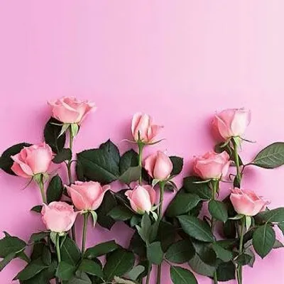 beautyandbeyond profile