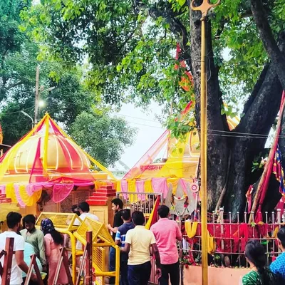 beauty of prayagraj profile