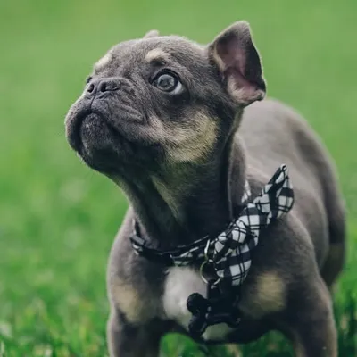 Beaux Busby profile