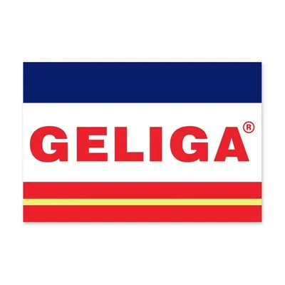 GELIGA profile