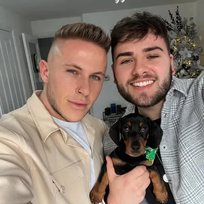Wade, Jack, Frank & Ernie🐶 profile