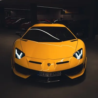 Bee SVJ profile