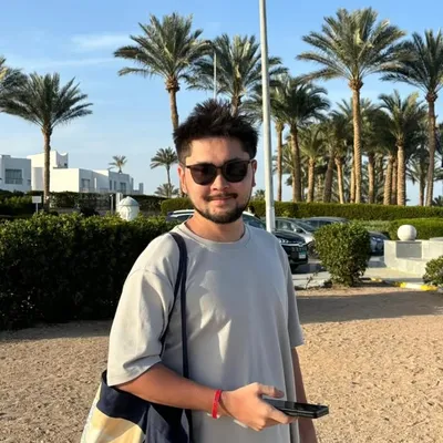 Damir profile