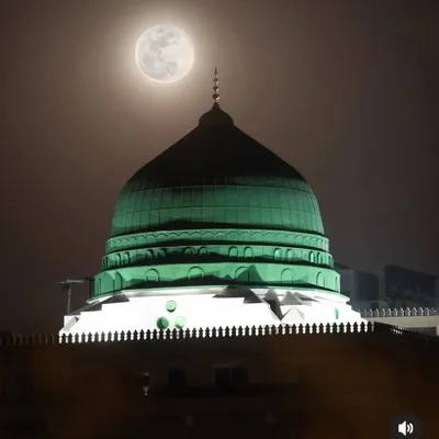 being Muslim profile