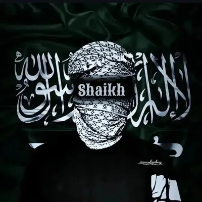 🕊Anas Sheikh🤍 profile