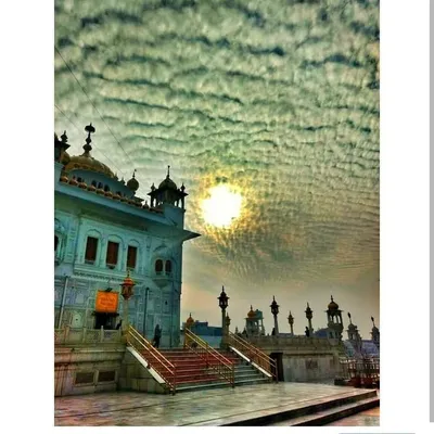 BeingAmritsari🐒 profile