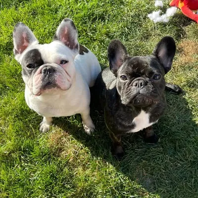 Larry & Harley profile
