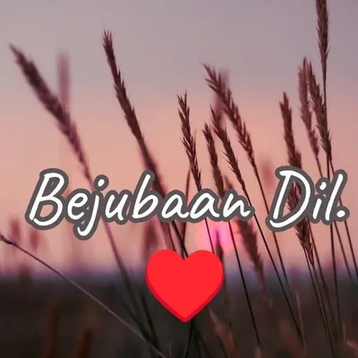 Bejubaan Dil profile