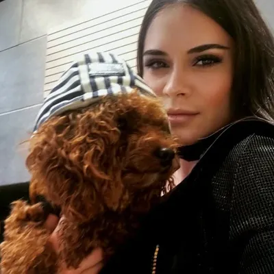 Kocaeli Akc Köpek Oteli & Köpek Eğitimi profile