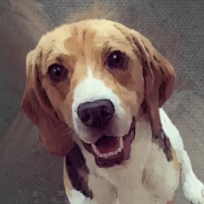 Belka profile