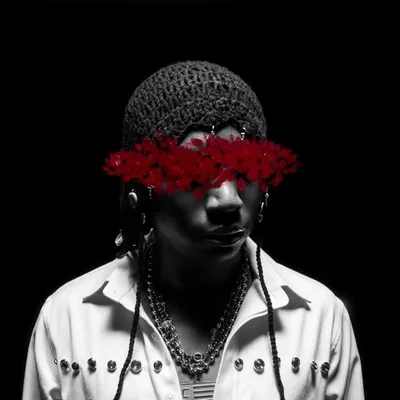 Dangbana💐 profile