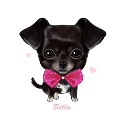 Bella The Chug profile