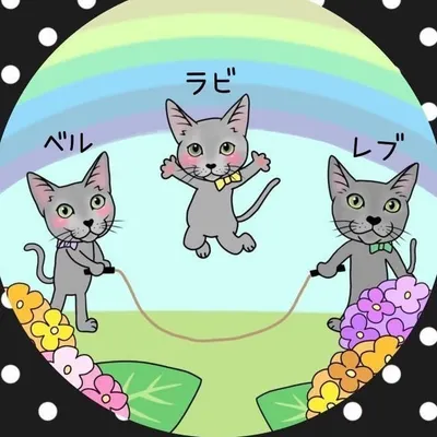 ๐น๐ผ๐๐๐ผ & ๐๐ผ๐ & ๐๐ธ๐๐ profile