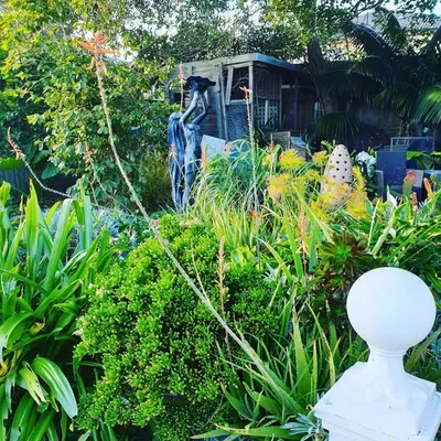 Belmore Backyard profile