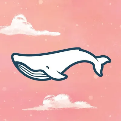 Beluga Ceramics profile