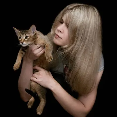 🐆Kittens for SALE WORLDWIDE🌍 profile