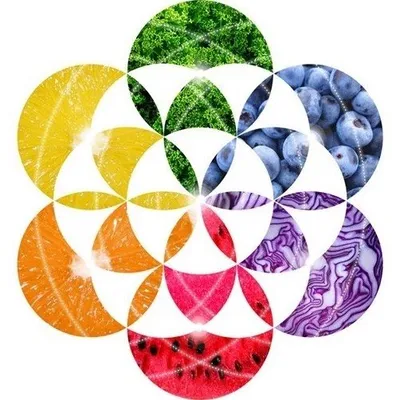 🌱BENEVOLENT BLIZZ ORGANIC (W)HOLISTIC WELLNESS🌱 profile