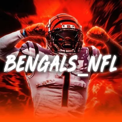 Cincinnati Bengals Fan Page profile