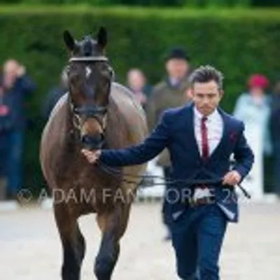 Ben Hobday profile