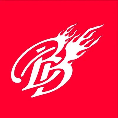 Berlin Braves ™ profile