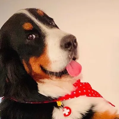 Winnie profile