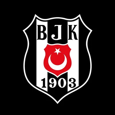 Beşiktaş JK profile