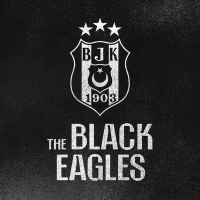 Beşiktaş EN 🦅 profile