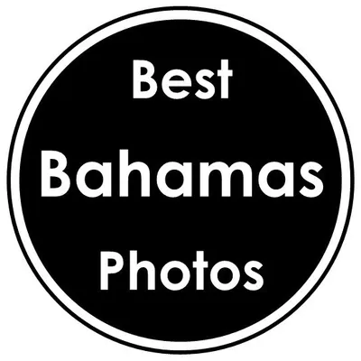 Best Bahamas Photos profile