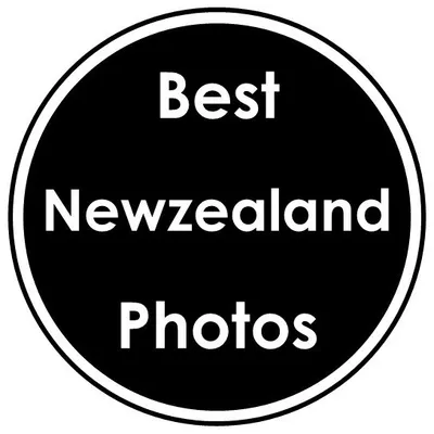Best Newzealand Photos profile