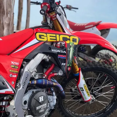 Moto Content profile
