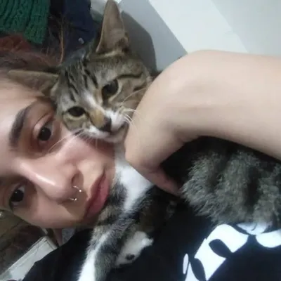 besteakss profile