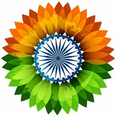 Best Things for Indians profile