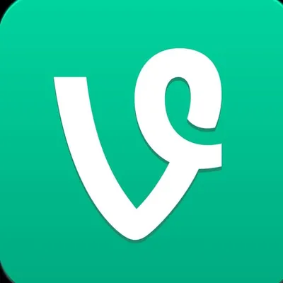 Best Vines profile