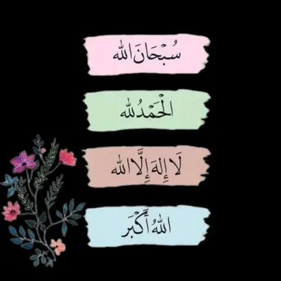 بتول آل علي profile