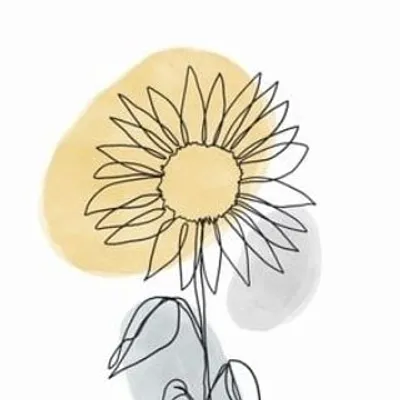 Better Together Project profile