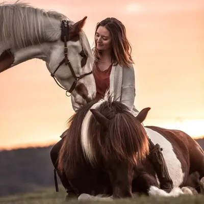 Betty Merkel - Pferdetraining & Osteopathie profile
